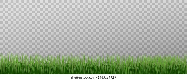 Grass border, vector illustration. Vector grass, lawn. Grass png, lawn png. Green grass with sun glare.