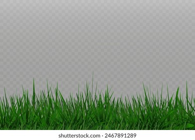 Grass border, vector illustration. Vector grass, lawn. Grass png, lawn png. Green grass with sun glare.