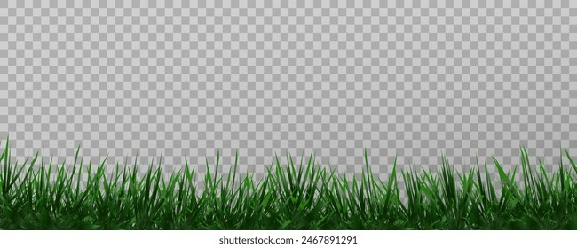 Grass border, vector illustration. Vector grass, lawn. Grass png, lawn png. Green grass with sun glare.