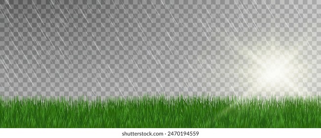 Grass border, vector illustration. Vector grass, lawn. Grass png, lawn png. Green grass with sun glare.