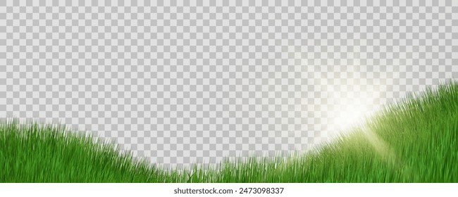 Grass border, vector illustration. Vector grass, lawn. Grass png, lawn png. Green grass with sun glare.