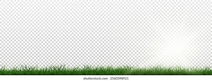 Grass border, vector illustration. Vector grass, lawn. Grass png, lawn png. Green grass with sun glare.