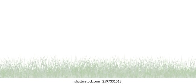 Grass border, vector illustration. Vector grass, lawn. Grass png, lawn png. Green grass with sun glare.