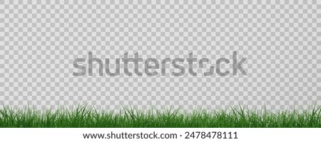 Grass border, vector illustration. Vector grass, lawn. Grass png, lawn png. Green grass with sun glare.