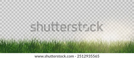 Grass border, vector illustration. Vector grass, lawn. Grass png, lawn png. Green grass with sun glare.