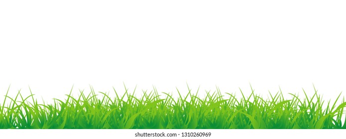 Grass Border, Vector Illustration on white background