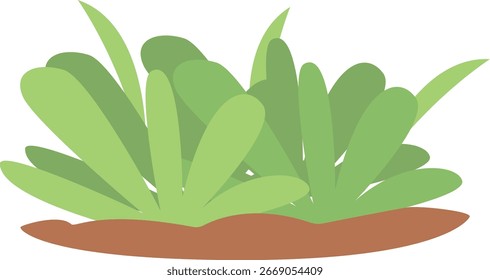 Grass Border Vector Illustration with Simple Design. Isolated on White Background