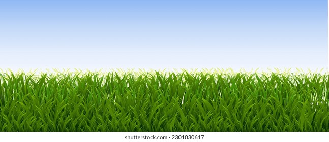 Grass Border And With White Background With Gradient Mesh, Vector Illustration
