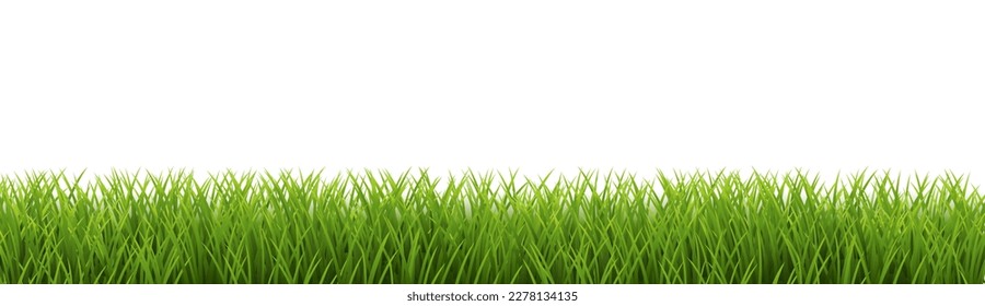 Grass Border And With White Background Isolated  Background, Vector Illustration