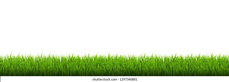 Grass Border White Background, Vector Illustration