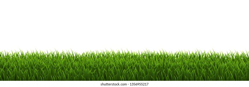 Grass Border White background, Vector Illustration