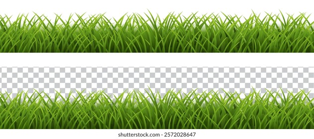 Grass Border White And Transparent Background, Vector Illustration