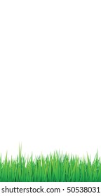 grass borders background, vector can be arranged for seamless effect