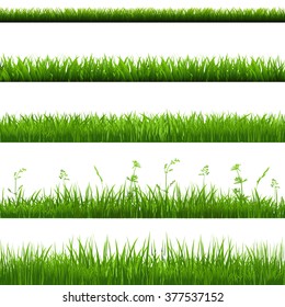 Grass Borders Big Set With Gradient Mesh, Vector Illustration