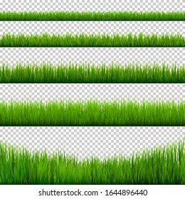 Grass borders collection. Green meadow nature background. Easter card design element. Vector illustration.