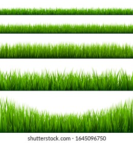 Grass borders collection. Green meadow nature background. Easter card design element. Vector illustration.