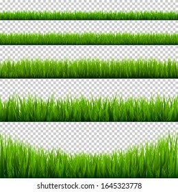 Grass borders collection. Green meadow nature background. Easter card design element. Vector illustration.
