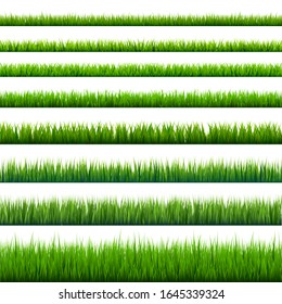 Grass borders collection. Green meadow nature background. Easter card design element. Vector illustration.