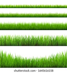 Grass borders collection. Green meadow nature background. Easter card design element. Vector illustration.