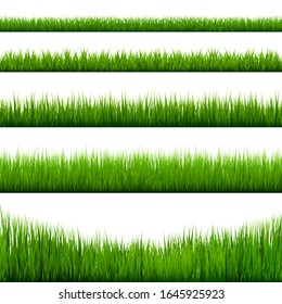 Grass borders collection. Green meadow nature background. Easter card design element. Vector illustration.
