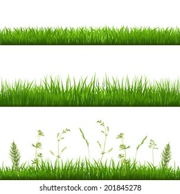 Grass Borders, With Gradient Mesh, Vector Illustration