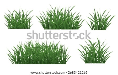 Grass Borders Set With Isolated White Background
