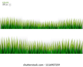 Grass Borders Set. On a transparent background. Vector Illustration