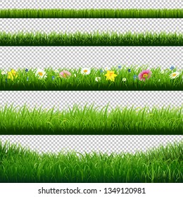 Grass Borders Set Transparent Background With Gradient Mesh, Vector Illustration