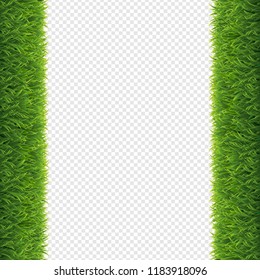 Grass Borders Transparent Background, Vector Illustration
