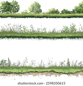 Grass Borders Vector Illustration Isolated on White Background.