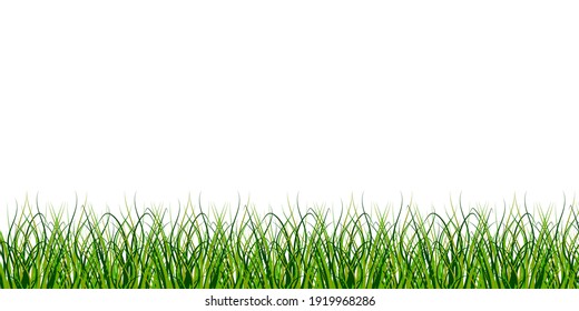 The grass is at the bottom of the picture. Boho green pattern on soft white background. Nature illustration. Stock image.