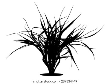 Grass - bush - bunch - black silhouette isolated - vector