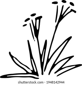 grass bush with flowers, black outlin