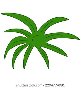 grass bush illustration for decorative element