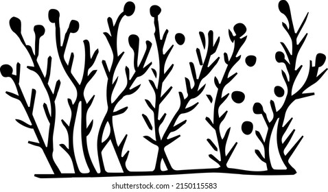 Grass bush on a white background