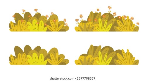 Grass bush, yellow autumn bush blossom, shrubs during flowering and non flowering seasons