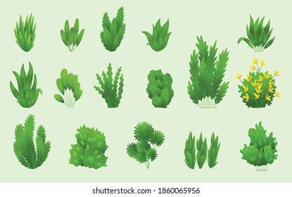 Grass or bushes. Green realistic spring grasss. Fresh plants, garden botanical greens, herbs and leaves vector isolated on white. Different patterns of natural lawn meadow bushes