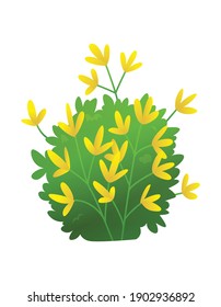 Grasa o arbustos. hierba verde realista de primavera con flores amarillas. Plantas frescas, verduras botánicas de jardín, hierbas y hojas vectoriales aisladas en blanco. Cascos de praderas naturales, vegetación floral