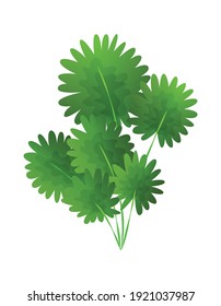 Grass or bushes. Green realistic spring grass. Fresh plants, garden botanical greens, herbs and leaves vector isolated on white. Natural lawn meadow bushes, floral vegetation