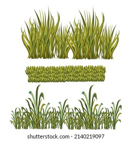 grass and bushes vector Illustration