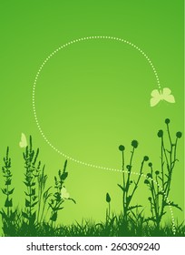 Grass and butterflies