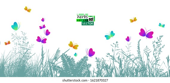 Grass with butterflies. Hello summer. Vector illustration