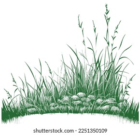 Grass by the lake sketch Vector illustration