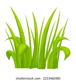 Grass in cartoon style isolated on white background. Decoration, design element.