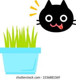 Grass for cat eating and a cat face icon