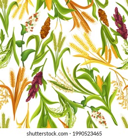 Grass cereal crops, agricultural plant seamless pattern, vector illustration. Cereal plants of rice, wheat, corn, rye, barley, millet, buckwheat, sorghum, oat, quinoa, proso.