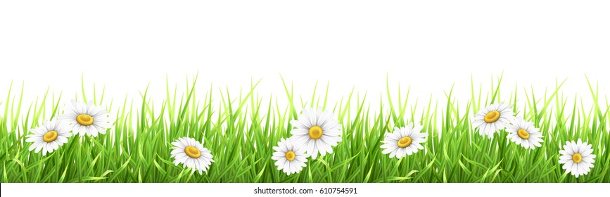 348,752 Daisy grass Images, Stock Photos & Vectors | Shutterstock