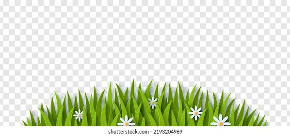 Grass And Chamomile Paper Cut Border Isolated On Transparent Background. Vector Illustration. Spring Summer Green Pattern. Happy Easter Frame With White Daisy, Earth Day Decoration