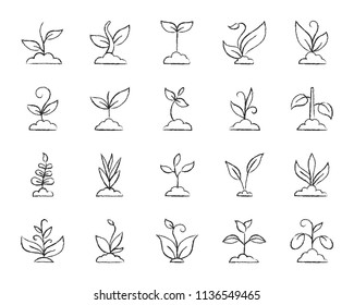 Grass charcoal icons set. Grunge outline sign kit of plant. Sprout linear icon collection includes flower, gardening, ecology. Hand drawn by crayon simple grass symbol on white. Vector Illustration
