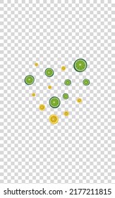 Grass Citrus Background Transparent Vector. Effect Set. Green Citrus Drink. Colorful Lime Mint Set.